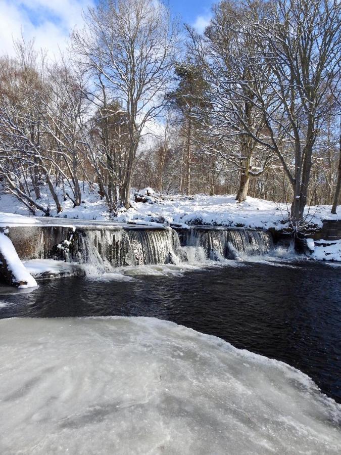 Balnagown Estates Peat Cottage Kildary Екстер'єр фото